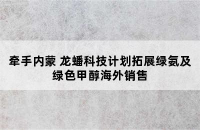 牵手内蒙 龙蟠科技计划拓展绿氨及绿色甲醇海外销售